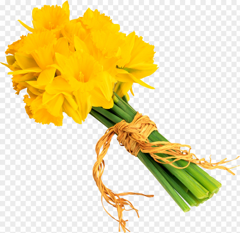 Bouquet Of Flowers Flower Daffodil Clip Art PNG
