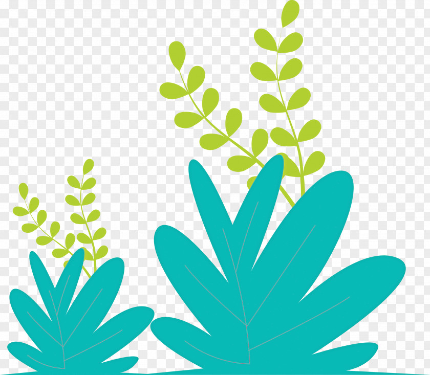 Grass Plant PNG