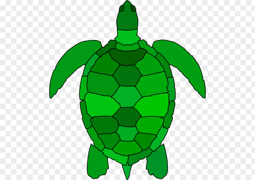 Green Turtle Cliparts Sea Reptile Clip Art PNG
