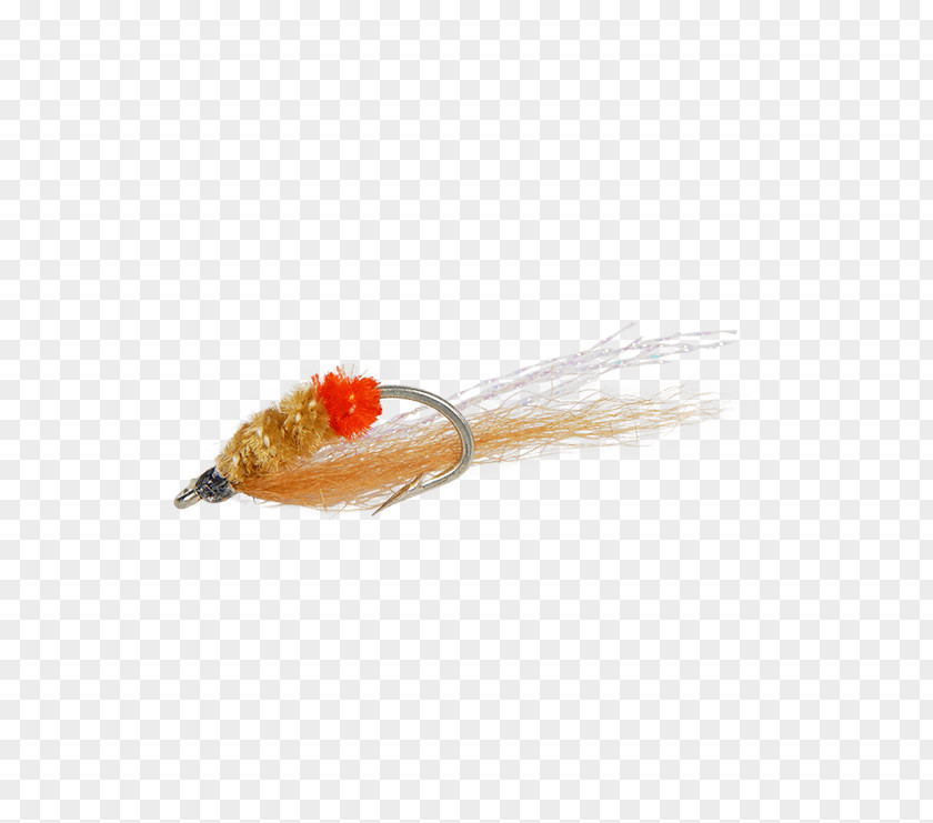 Shrimp Snapping Fly Fishing PNG