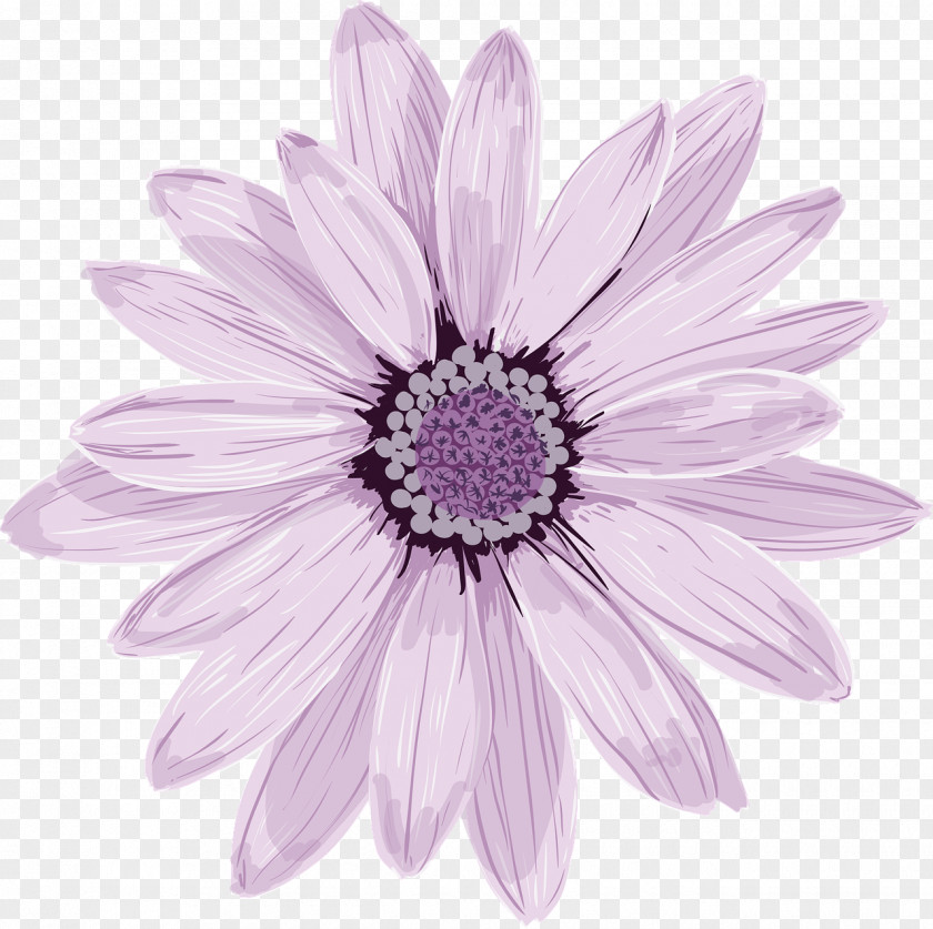 Transparent Flower Purple Vector Graphics Art Image PNG
