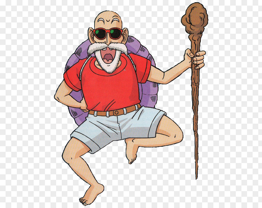 Turtle Master Roshi Loggerhead Sea Character PNG