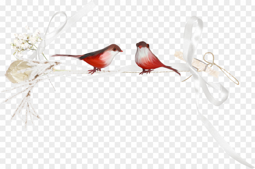 Creative Birds Bird Snow Blog PNG