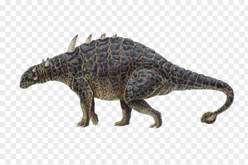 Dinosaur Euoplocephalus Ankylosaurus Styracosaurus Diplodocus Tuojiangosaurus PNG