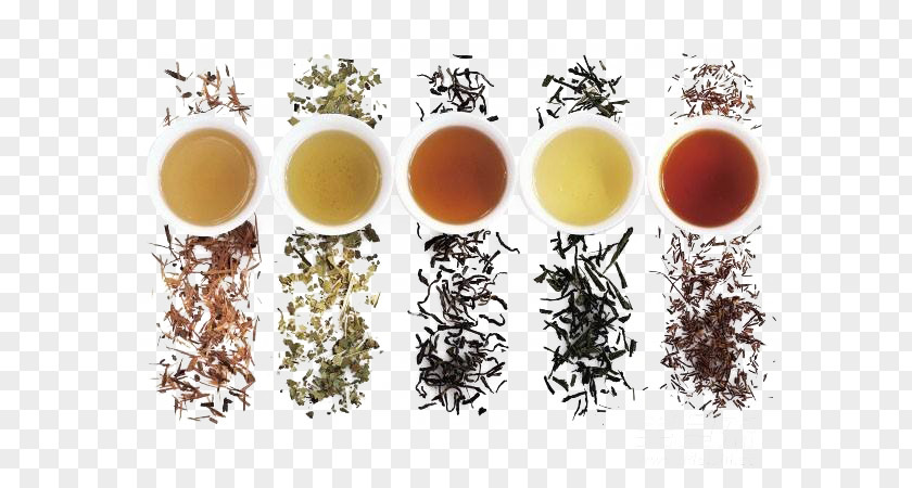 Five Different Colors Of Tea And Green White Oolong Yum Cha PNG