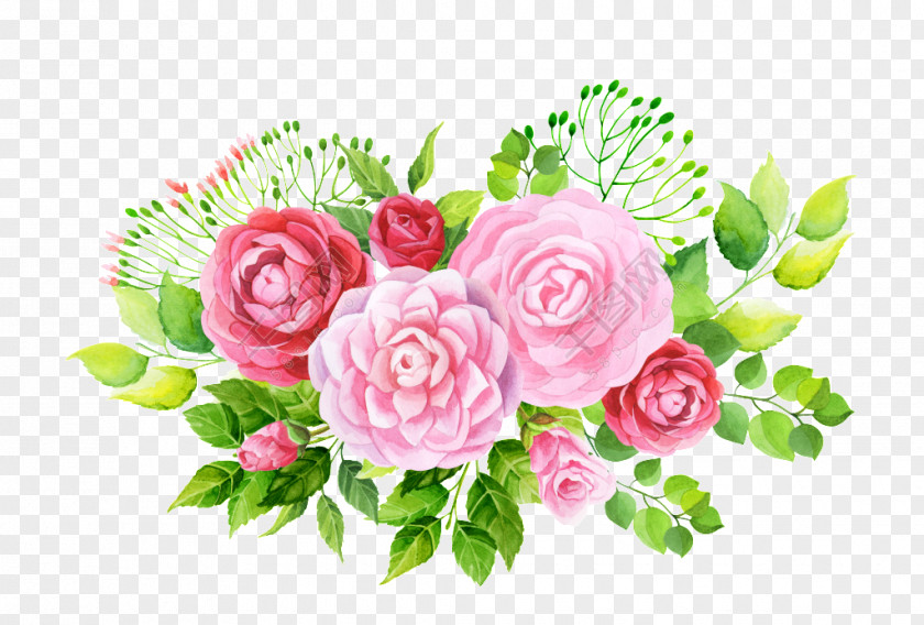 Flowers Solid Garden Roses Vector Graphics Image PNG