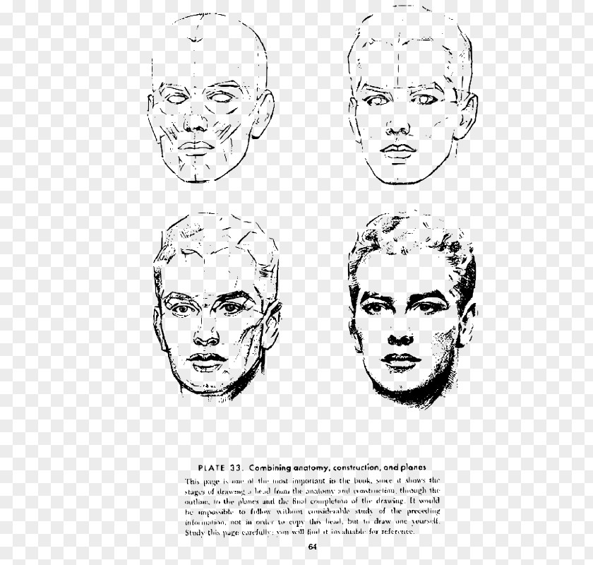 Method Head Andrew Loomis Drawing The And Hands Human Anatomy PNG