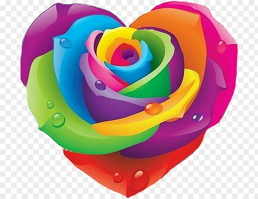 Rose Artist Rainbow Clip Art PNG