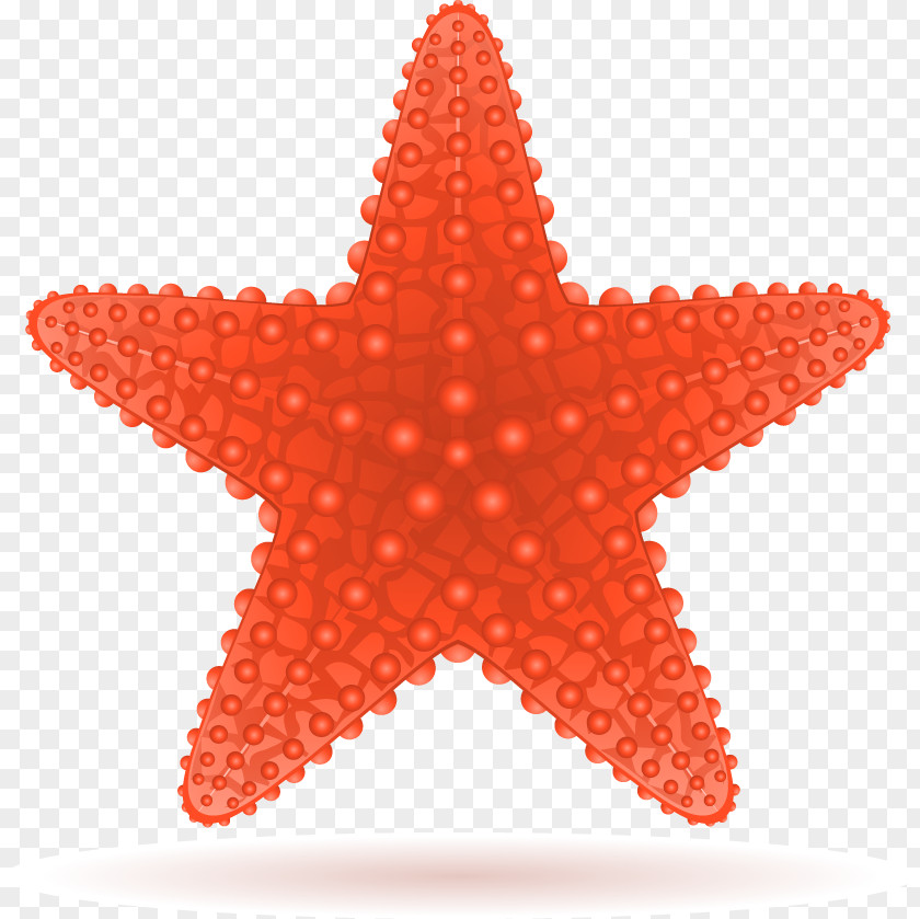 Starfish Royalty-free Clip Art PNG