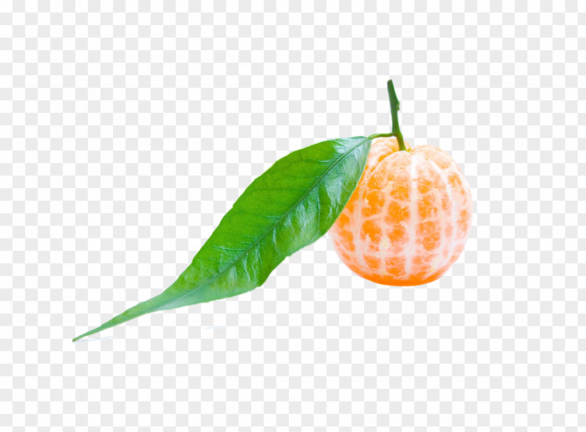 Shell Orange Peel Mandarin Smoothie Fruit Vegetable PNG