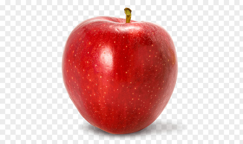 Apple Gala Crisp Fruit Red Delicious PNG