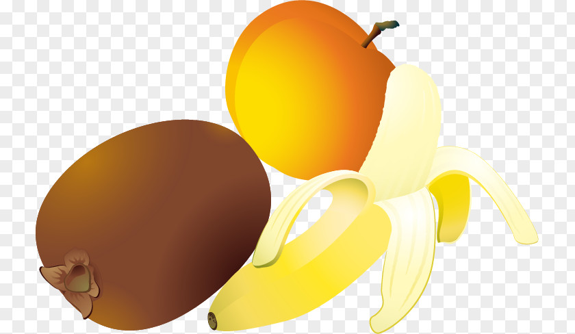 Apricot Banana Kiwi Fruit Vector Material Kiwifruit Apple Clip Art PNG