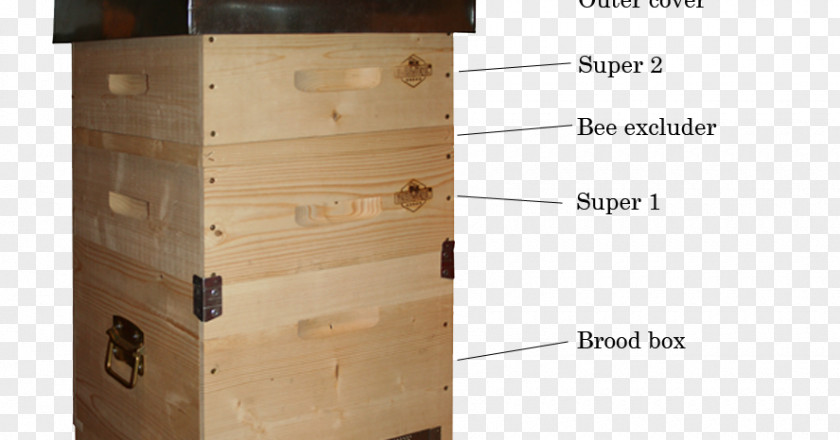 Bee Beehive Arnia Dadant-Blatt Hive Frame Beekeeping PNG