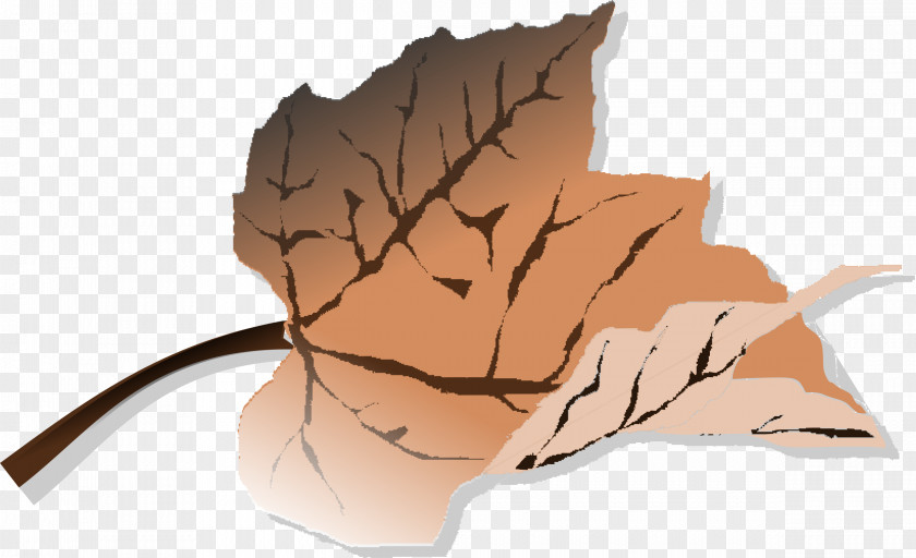 Brown Autumn Leaf Color Clip Art PNG