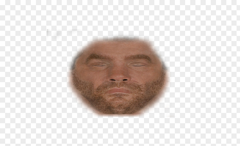 Chris Benoit Facial Hair Face Chin Cheek Beard PNG