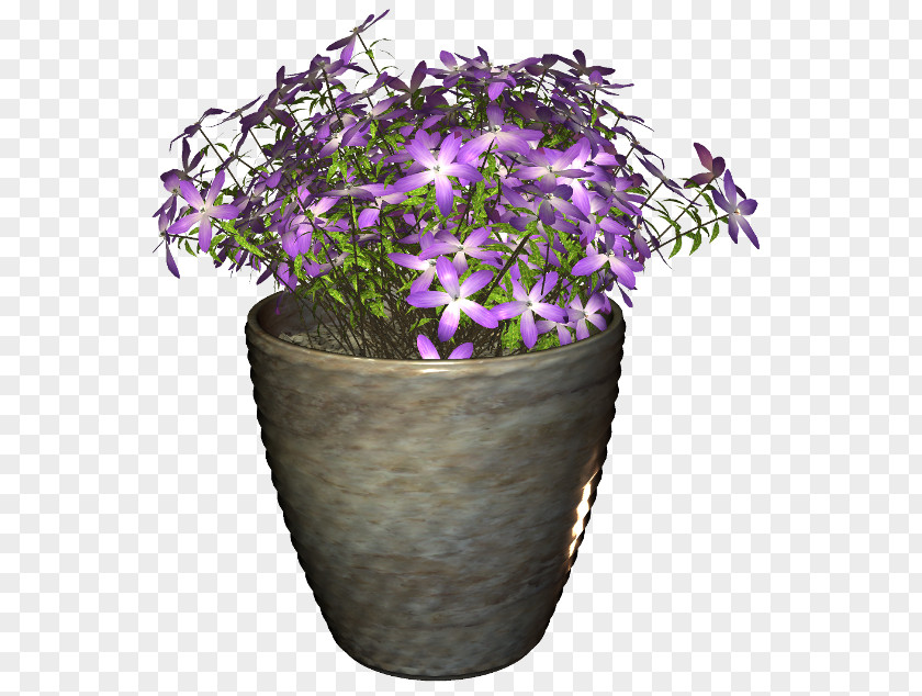 Flower Flowerpot Bouquet Houseplant PNG