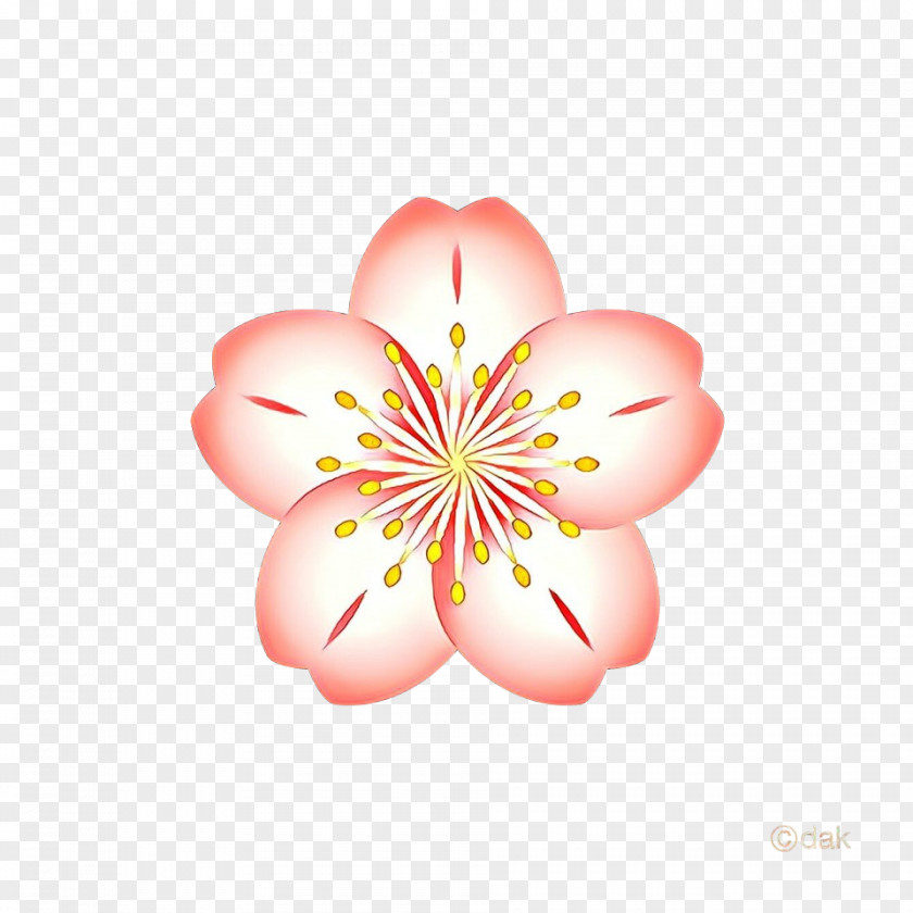 Hibiscus Wildflower Pink Flower Cartoon PNG