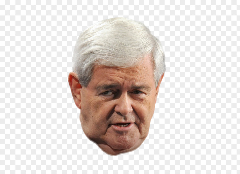 Nose Newt Gingrich Chin Cheek Forehead PNG