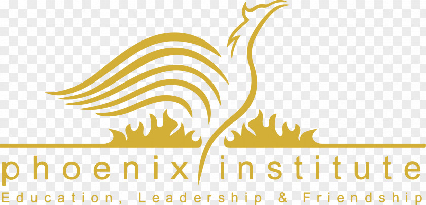 Promoting Institute Of Technology Phoenix Education PNG