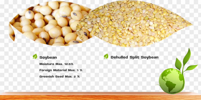 Soyben Vegetarian Cuisine Soybean Vegetable Commodity Lecithin PNG