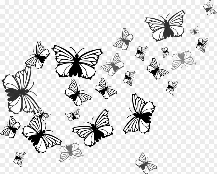 Vector Butterfly Nymphalidae Insect Euclidean PNG