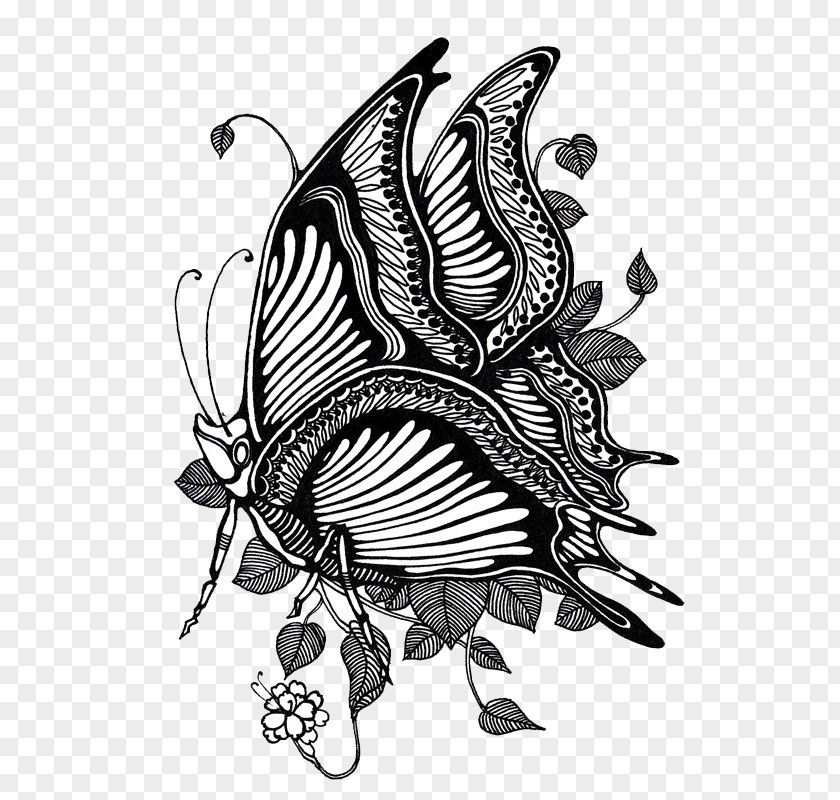 Butterfly Black And White Illustration PNG