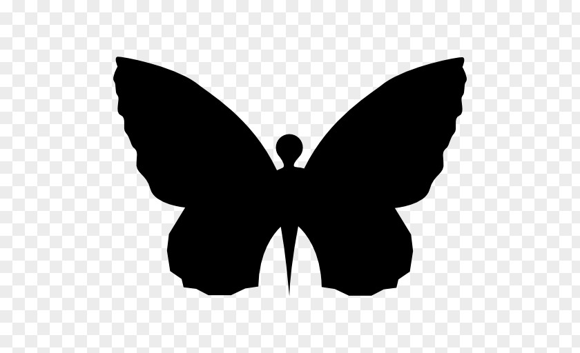 Butterfly Shape Insect PNG