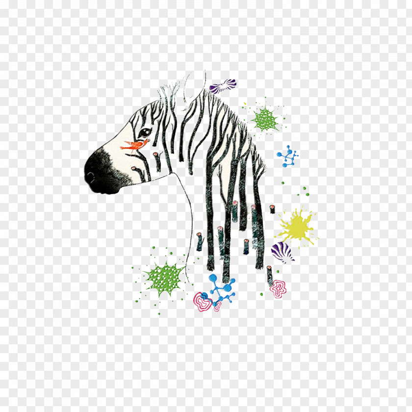 Colorful Zebra Drawing Art Watercolor Painting Illustration PNG