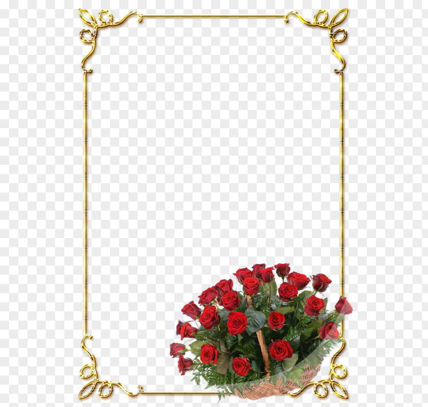 Gold Frame Picture Garden Roses Jubileum Birthday Light PNG
