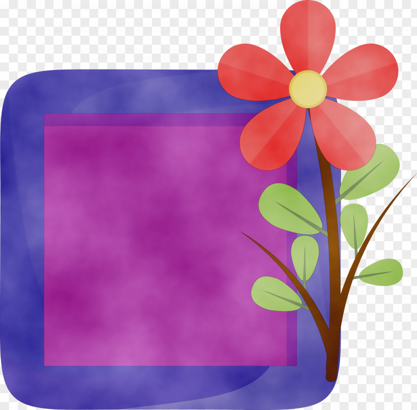 Picture Frame PNG