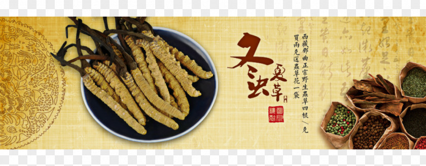 Yushu Tibetan Autonomous Prefecture Caterpillar Fungus Crude Drug Banner PNG