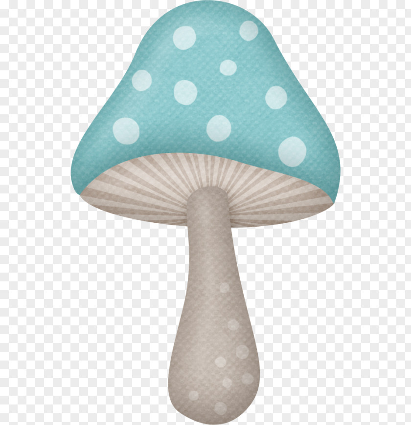 Drawing Fungus Iridessa Animated Film PNG