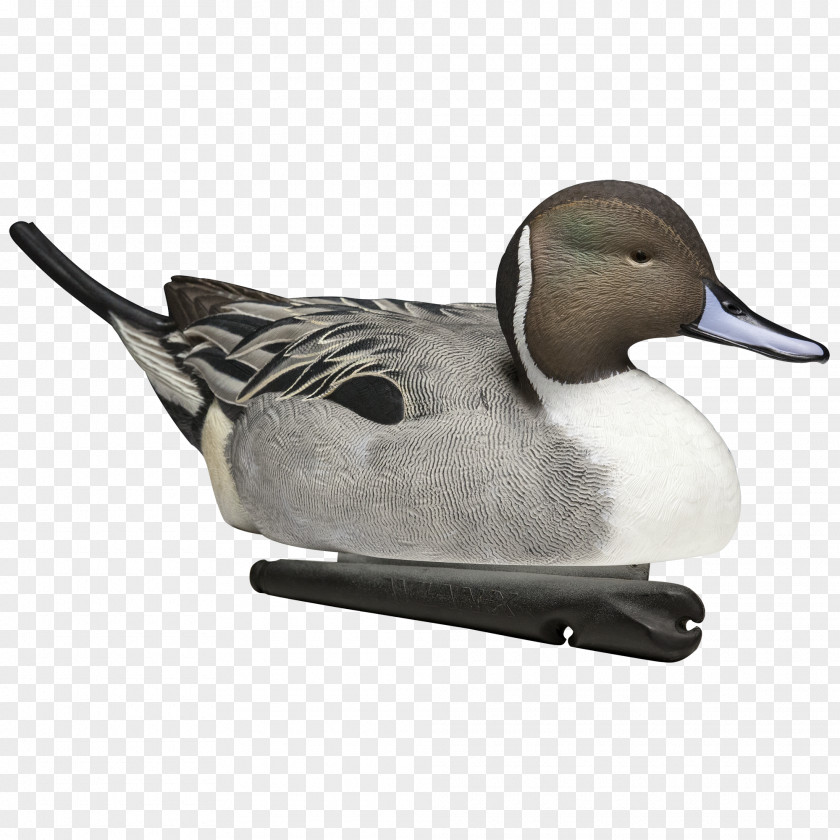 Duck Mallard Decoy Goose PNG