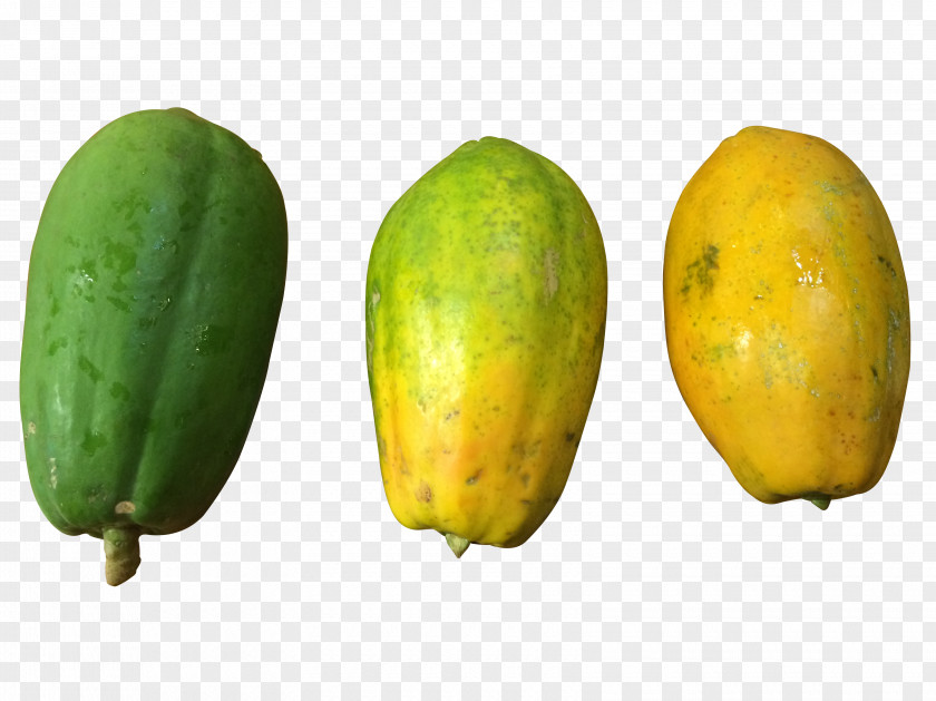 Fresh Papaya Food Download PNG