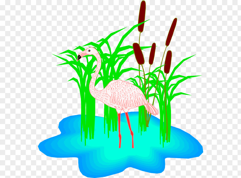 Plant Stem Flamingo Cartoon PNG