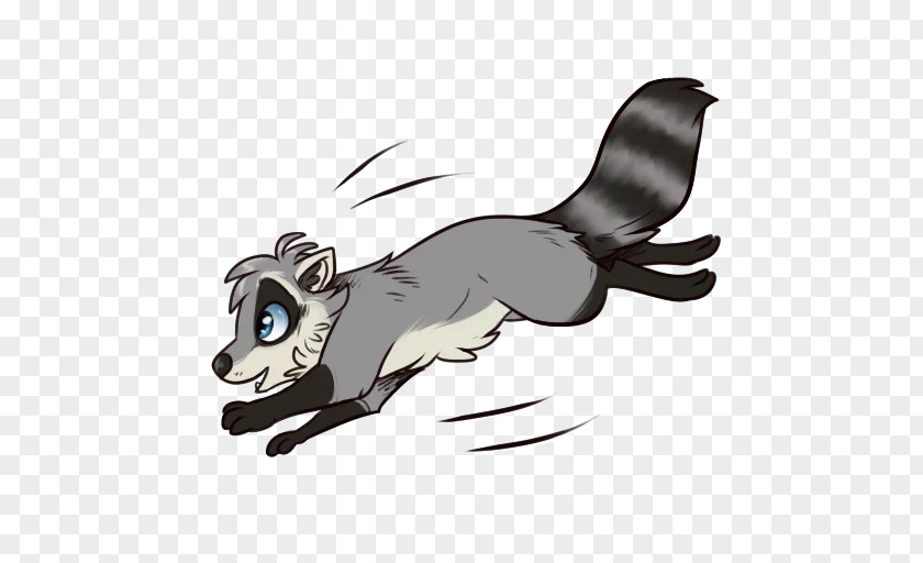 Raccoons Sticker Mustelids Mammal Clip Art PNG