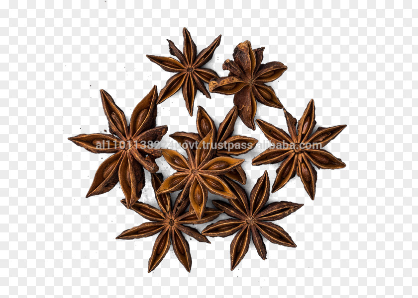 Anason Five-spice Powder Curry Chinese Cuisine Star Anise PNG