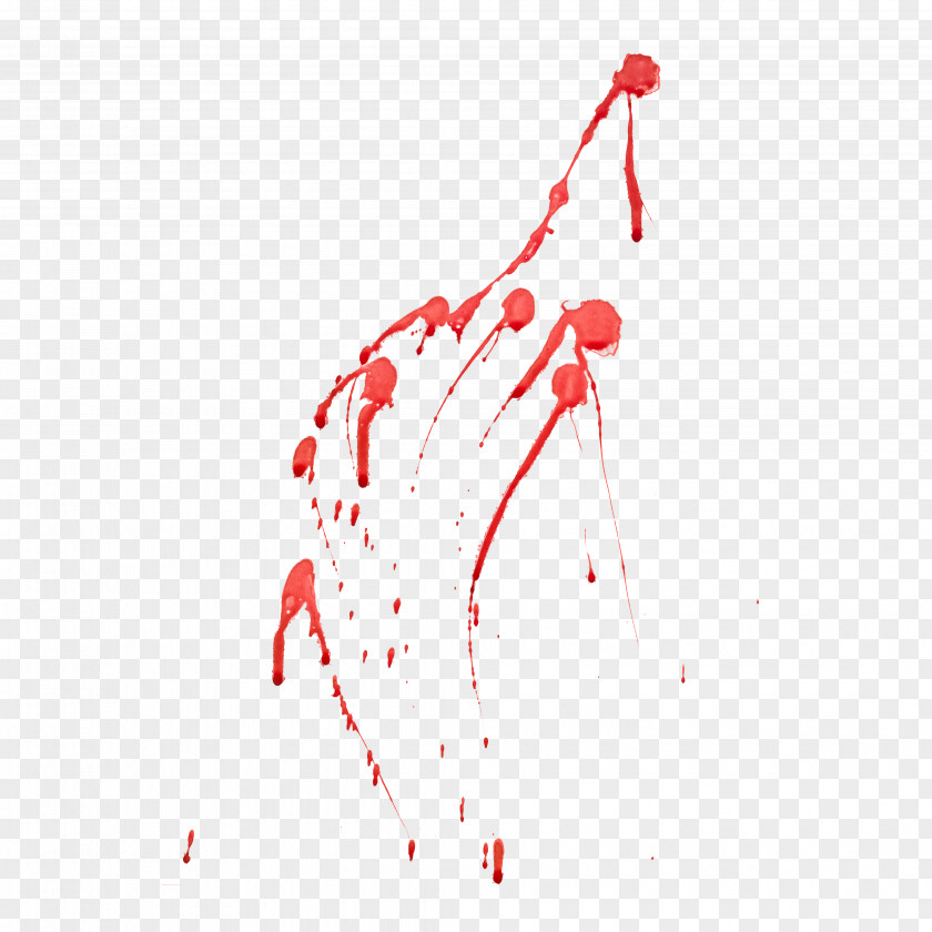Blood Spatter Line Point H&M PNG