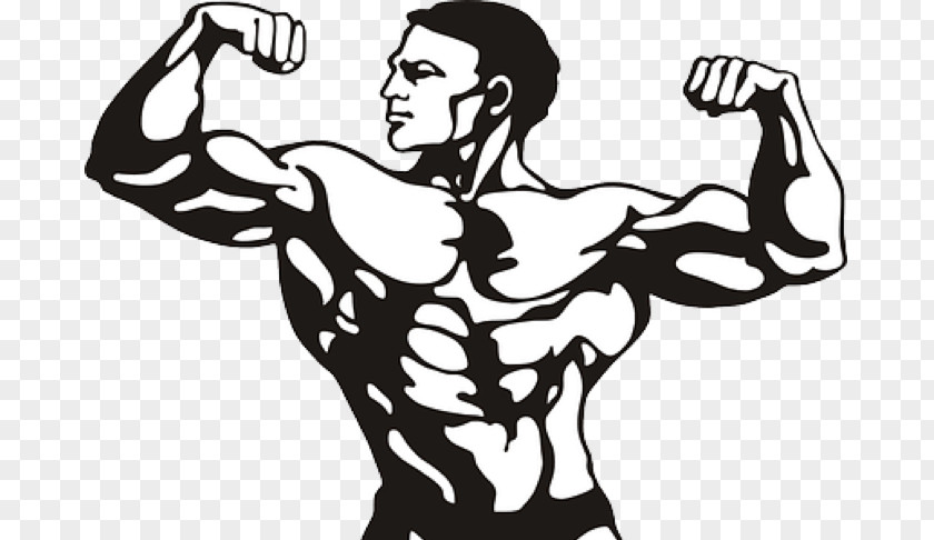 Bodybuilding Female Clip Art PNG