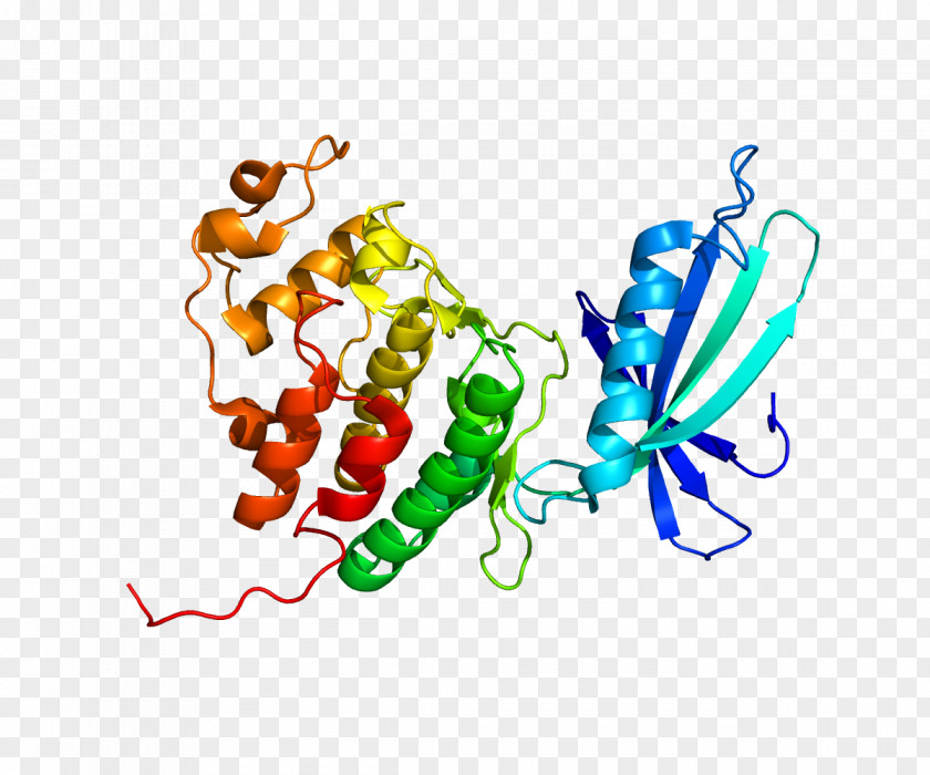 Cyclin-dependent Kinase 4 Abemaciclib PNG