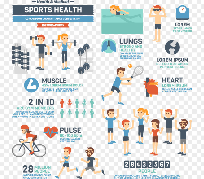 Fitness Element Vector Infographic Sport Illustration PNG