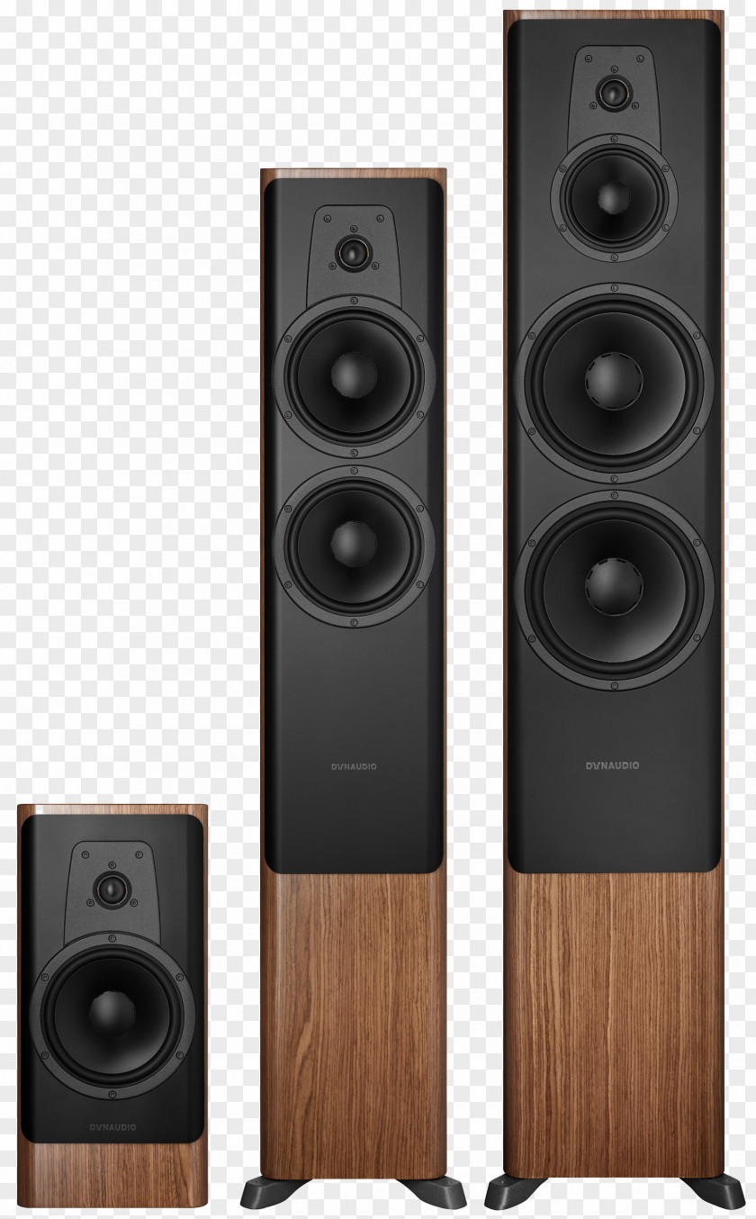 Gold Wire Edge Computer Speakers Sound Subwoofer Dynaudio Loudspeaker PNG