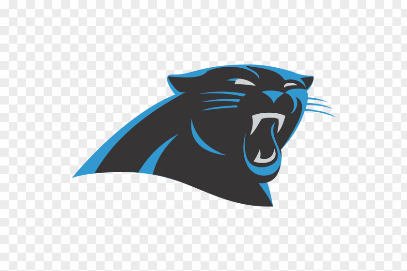 Panther 2016 Carolina Panthers Season NFL New England Patriots Super Bowl 50 PNG