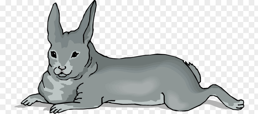Rabbit Domestic Whiskers Netherland Dwarf Clip Art PNG