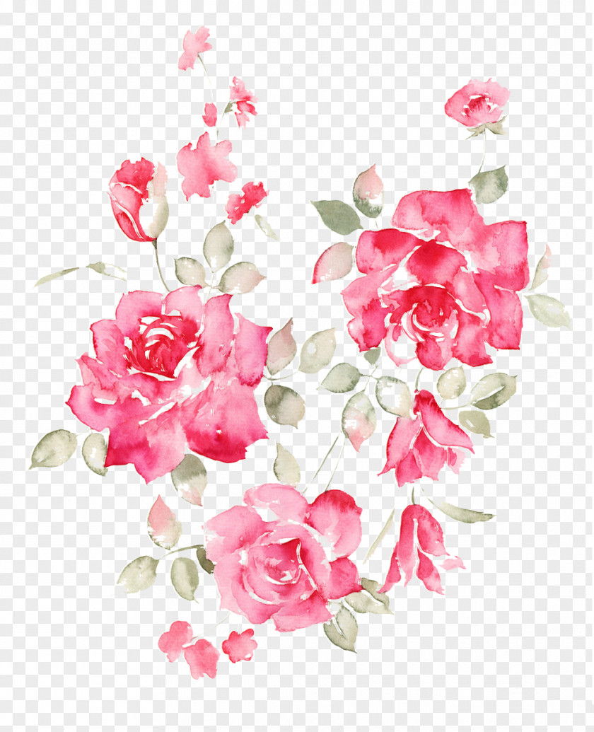 Red Peony Picture Material Garden Roses Flower Clip Art PNG