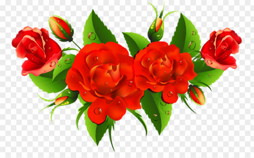 Redrose Ribbon Royalty-free Vector Graphics Stock Photography Image Illustration PNG