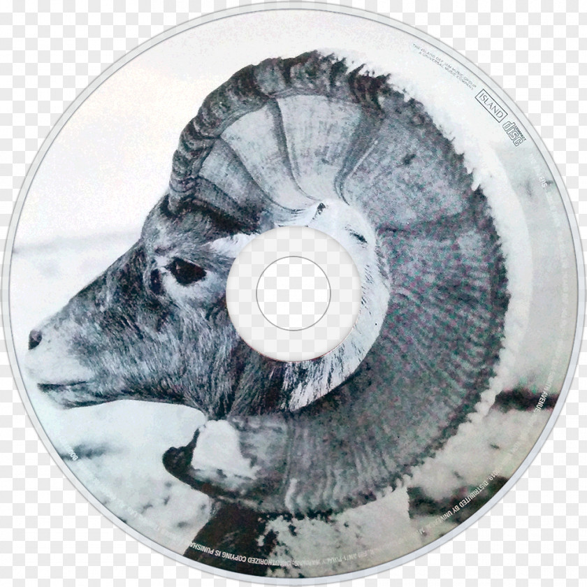 Sawdust Sam's Town The Killers Wheel PNG