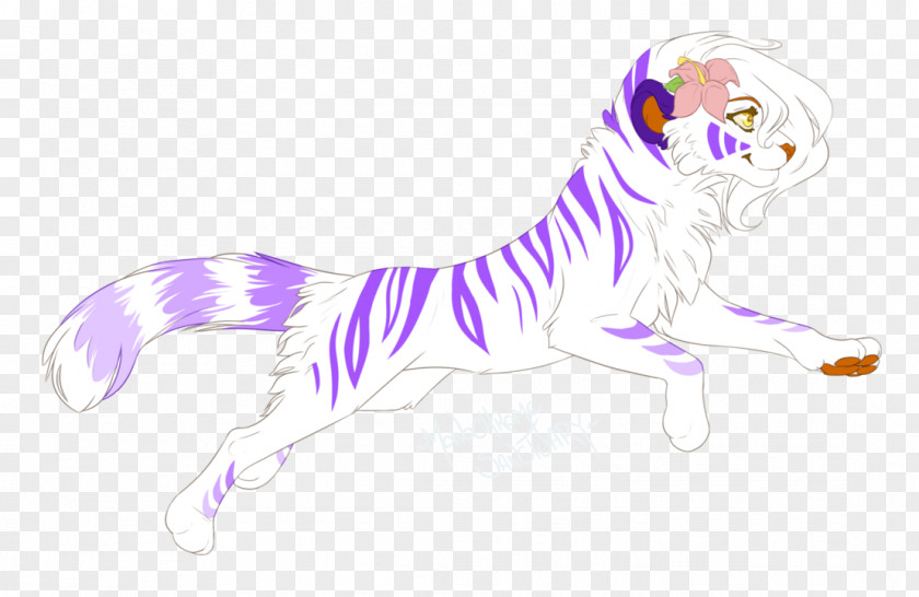 Tiger Whiskers Cat Canidae PNG