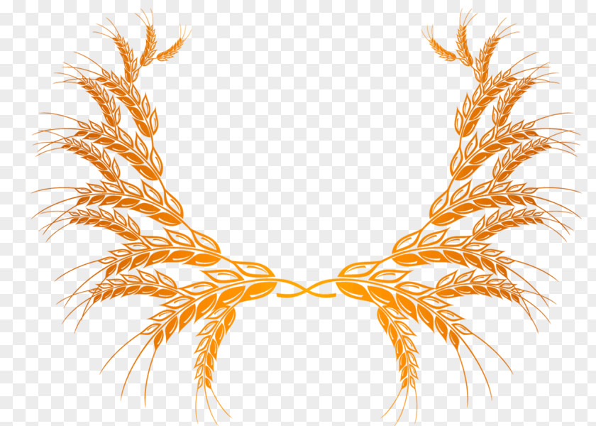 Wheat Bran Clip Art PNG