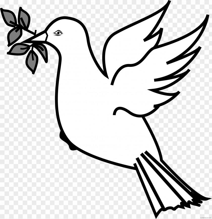 Doves Foot Clip Art Olive Branch As Symbols Openclipart Pigeons And PNG